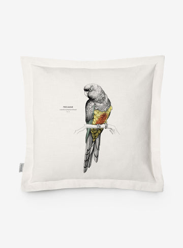 funda cojín diseño tricahue Chile algodón
decoración hogar con loro nativo Chile en peligro extinción
funda cojín algodón 50x50 tricahue loro Chile
regalo decoración hogar tricahue conservación Chile
funda cojín aves en peligro Chile hogar