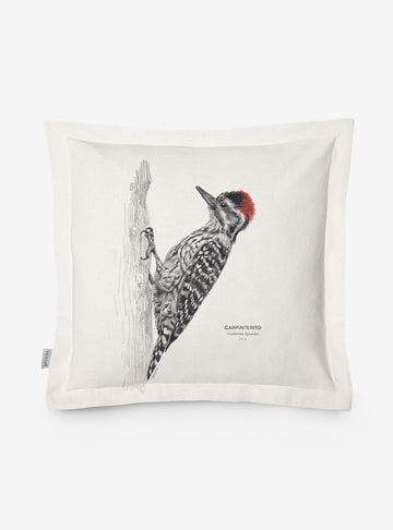 funda cojín diseño carpinterito Chile algodón
decoración hogar con carpinterito pájaro carpintero Chile
funda cojín algodón 50x50 carpinterito Chile
regalo decoración hogar carpinterito Chile
funda cojín aves endémicas Chile hogar