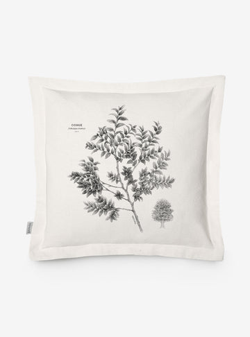 funda cojín diseño coihue Chile algodón
decoración hogar con árbol nativo bosque valdiviano Chile
funda cojín algodón 50x50 coihue Chile
regalo decoración hogar coihue flora nativa Chile
funda cojín flora nativa Chile hogar