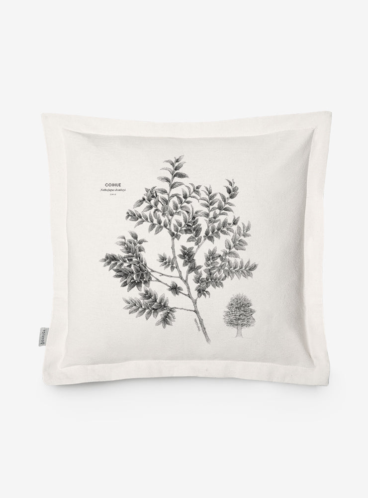 funda cojín diseño coihue Chile algodón
decoración hogar con árbol nativo bosque valdiviano Chile
funda cojín algodón 50x50 coihue Chile
regalo decoración hogar coihue flora nativa Chile
funda cojín flora nativa Chile hogar