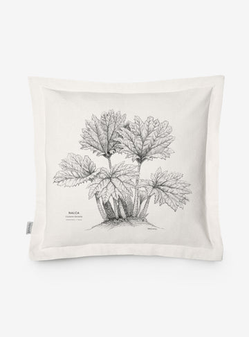 funda cojín diseño nalca Chile algodón
decoración hogar con planta gigante nativa bosque sur Chile
funda cojín algodón 50x50 nalca Chile
regalo decoración hogar nalca flora nativa Chile
funda cojín flora bosque nativo Chile hogar