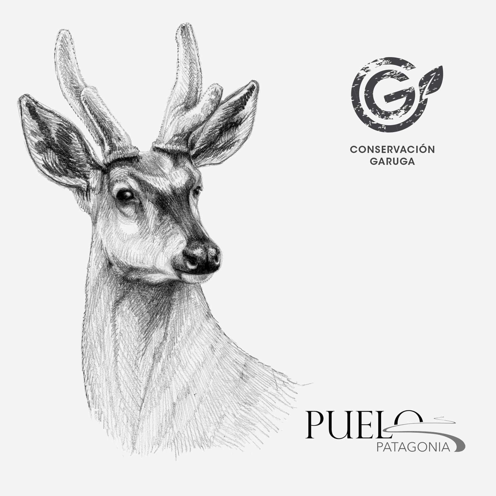 babero bebé diseño huemul Chile algodón orgánico
ropa bebé con ciervo nacional Chile en peligro extinción
babero orgánico doble capa huemul bebé
regalo recién nacido huemul babero Chile
babero bebé fauna en peligro Chile regalo baby shower