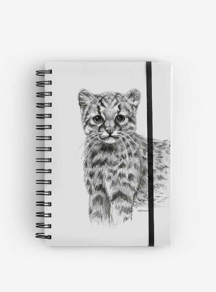Cuaderno Guiña