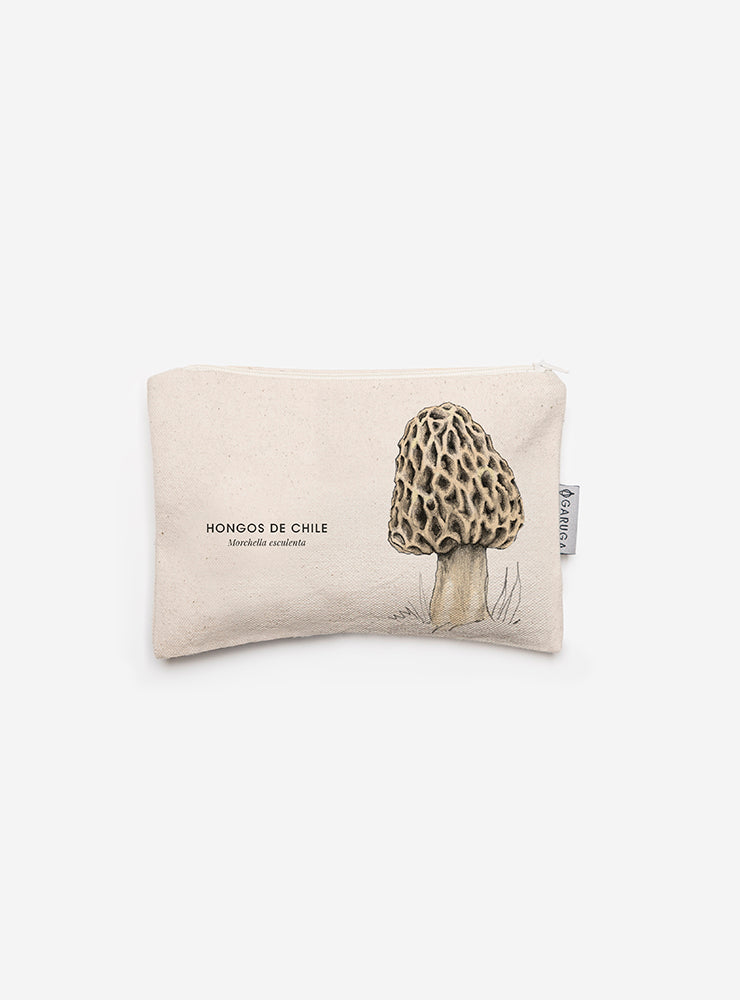 Estuche - Morchella