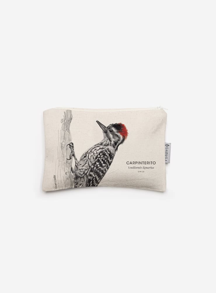 Estuche - Carpinterito