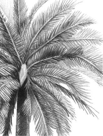 Flora y Funga