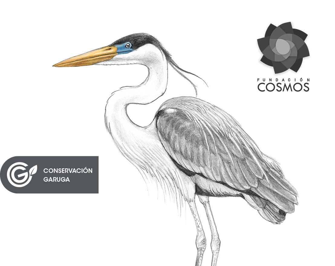 GARZA CUCA