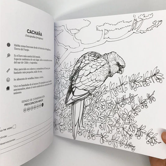 pack 2 libros para colorear fauna flora nativa Chile niños
promoción libros colorear tomo I y II fauna Chile
regalo niño pack libros colorear fauna chilena
pack libros colorear educativo fauna Chile niños
regalo Navidad pack libros colorear fauna Chile