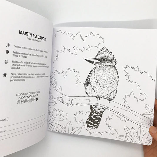 pack 2 libros para colorear fauna flora nativa Chile niños
promoción libros colorear tomo I y II fauna Chile
regalo niño pack libros colorear fauna chilena
pack libros colorear educativo fauna Chile niños
regalo Navidad pack libros colorear fauna Chile