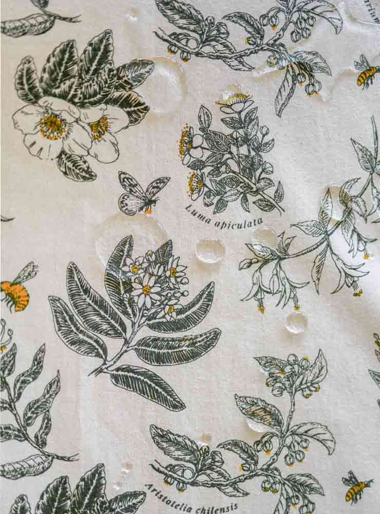 individuales polinización flora nativa Chile
individuales flores nativas Chile
individuales decoración mesa polinización Chile
Garuga individuales polinización