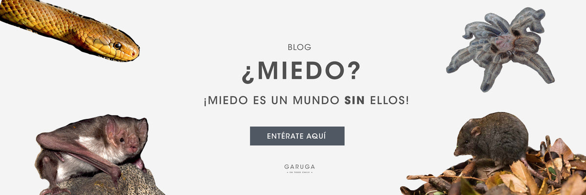 slider image slider_item_Pn79Vc