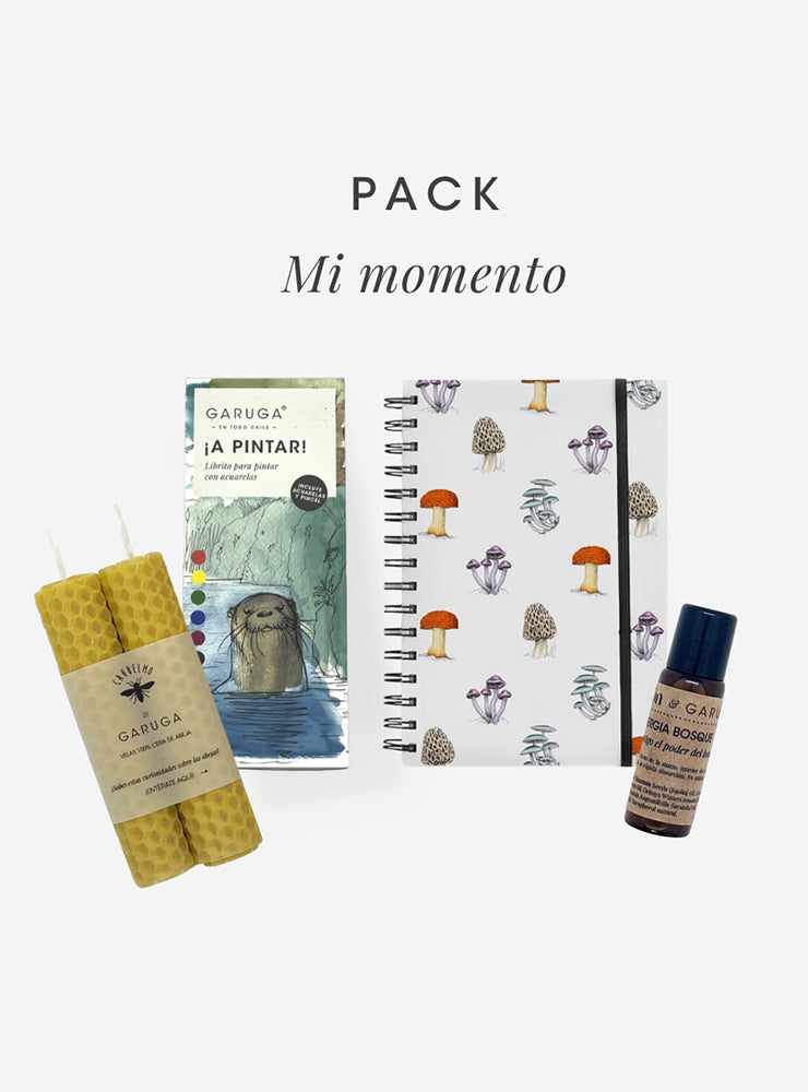 fauna flora nativa Chile pack regalo bienestar
pack regalo Garuga Chile sustentable consciente
regalo curado fauna Chile pack mi momento
conservación Chile pack regalo bienestar fauna