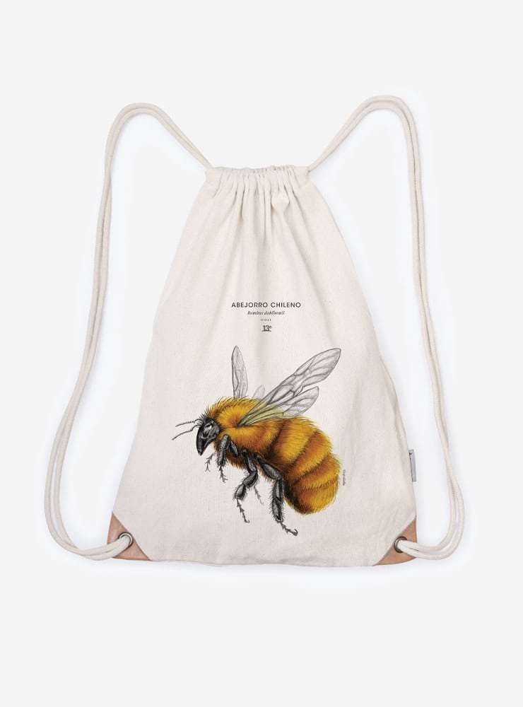 mochila diseño abejorro chileno Chile
mochila escolar fauna flora chilena vuelta a clases
regalo mochila abejorro chileno Chile niño
mochila ilustración abejorro chileno Chile sustentable
mochila vuelta a clases fauna Chile