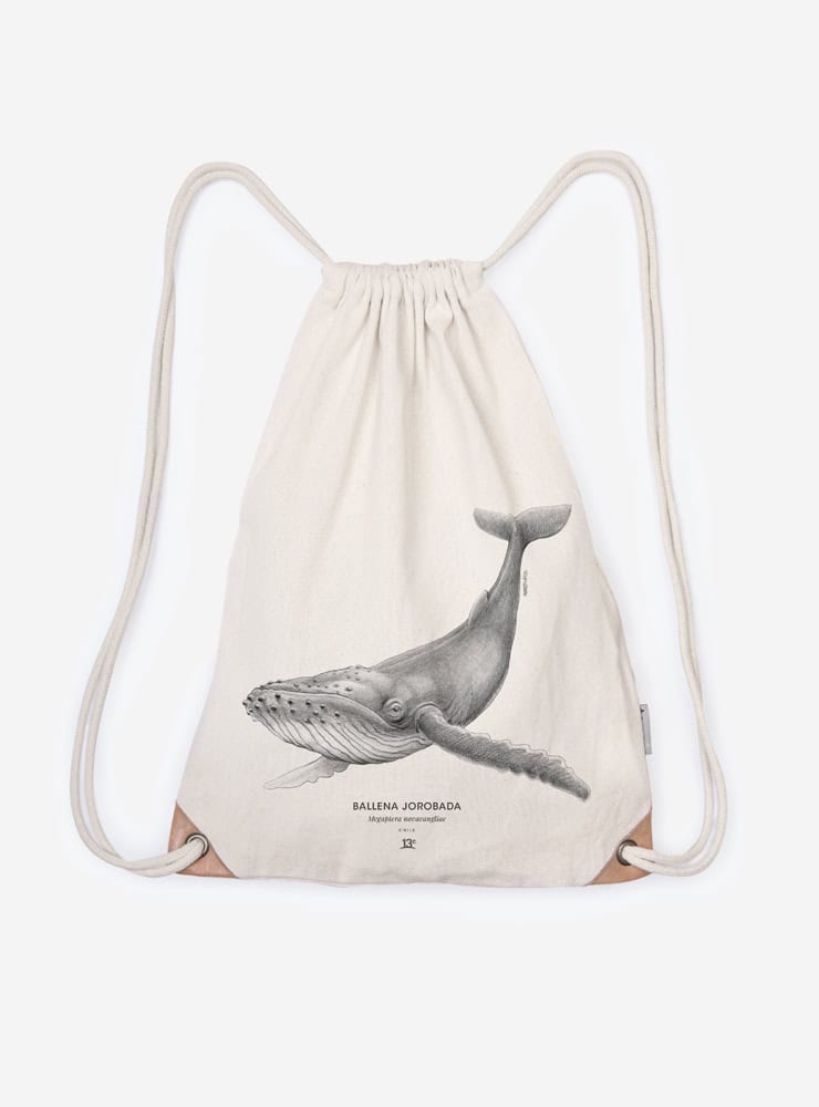 mochila diseño ballena jorobada Chile
mochila escolar fauna flora chilena vuelta a clases
regalo mochila ballena jorobada Chile niño
mochila ilustración ballena jorobada Chile sustentable
mochila vuelta a clases fauna Chile
