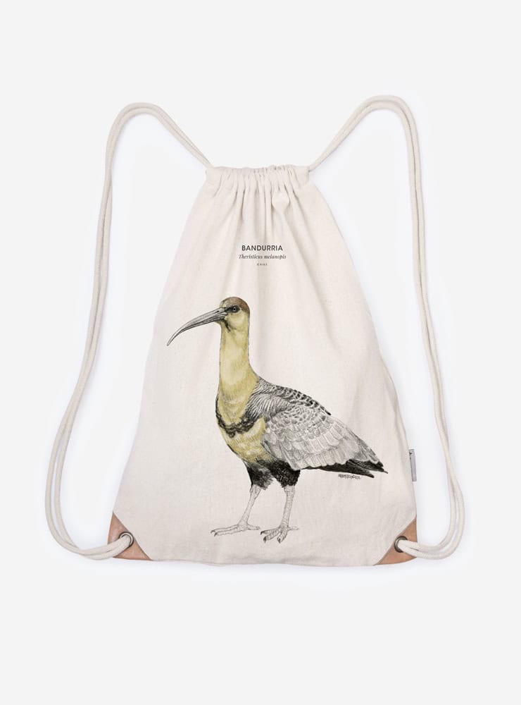 mochila diseño bandurria Chile
mochila escolar fauna flora chilena vuelta a clases
regalo mochila bandurria Chile niño
mochila ilustración bandurria Chile sustentable
mochila vuelta a clases fauna Chile