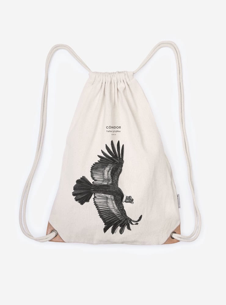 mochila diseño cóndor volando Chile
mochila escolar fauna flora chilena vuelta a clases
regalo mochila cóndor volando Chile niño
mochila ilustración cóndor volando Chile sustentable
mochila vuelta a clases fauna Chile