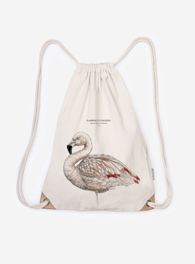 mochila diseño flamenco Chile
mochila escolar fauna flora chilena vuelta a clases
regalo mochila flamenco Chile niño
mochila ilustración flamenco Chile sustentable
mochila vuelta a clases fauna Chile
