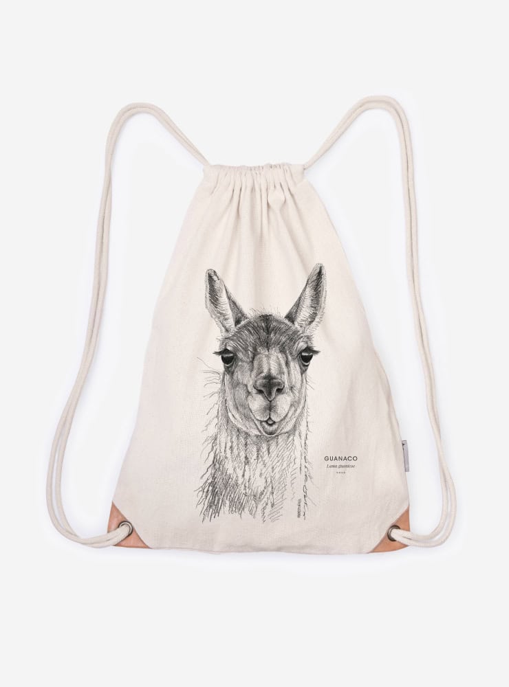 mochila diseño guanaco Chile
mochila escolar fauna flora chilena vuelta a clases
regalo mochila guanaco Chile niño
mochila ilustración guanaco Chile sustentable
mochila vuelta a clases fauna Chile