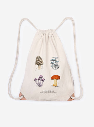 mochila diseño hongos de chile Chile
mochila escolar fauna flora chilena vuelta a clases
regalo mochila hongos de chile Chile niño
mochila ilustración hongos de chile Chile sustentable
mochila vuelta a clases fauna Chile