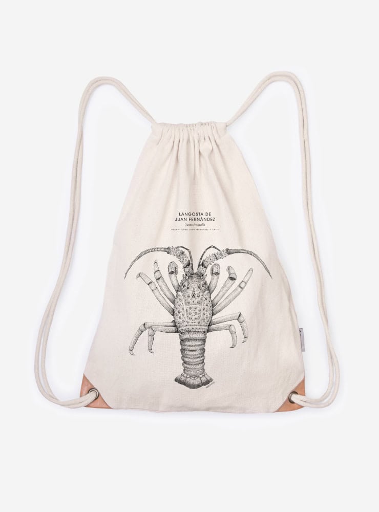mochila diseño langosta de juan fernández Chile
mochila escolar fauna flora chilena vuelta a clases
regalo mochila langosta de juan fernández Chile niño
mochila ilustración langosta de juan fernández Chile sustentable
mochila vuelta a clases fauna Chile