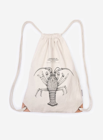 mochila diseño langosta de juan fernández Chile
mochila escolar fauna flora chilena vuelta a clases
regalo mochila langosta de juan fernández Chile niño
mochila ilustración langosta de juan fernández Chile sustentable
mochila vuelta a clases fauna Chile