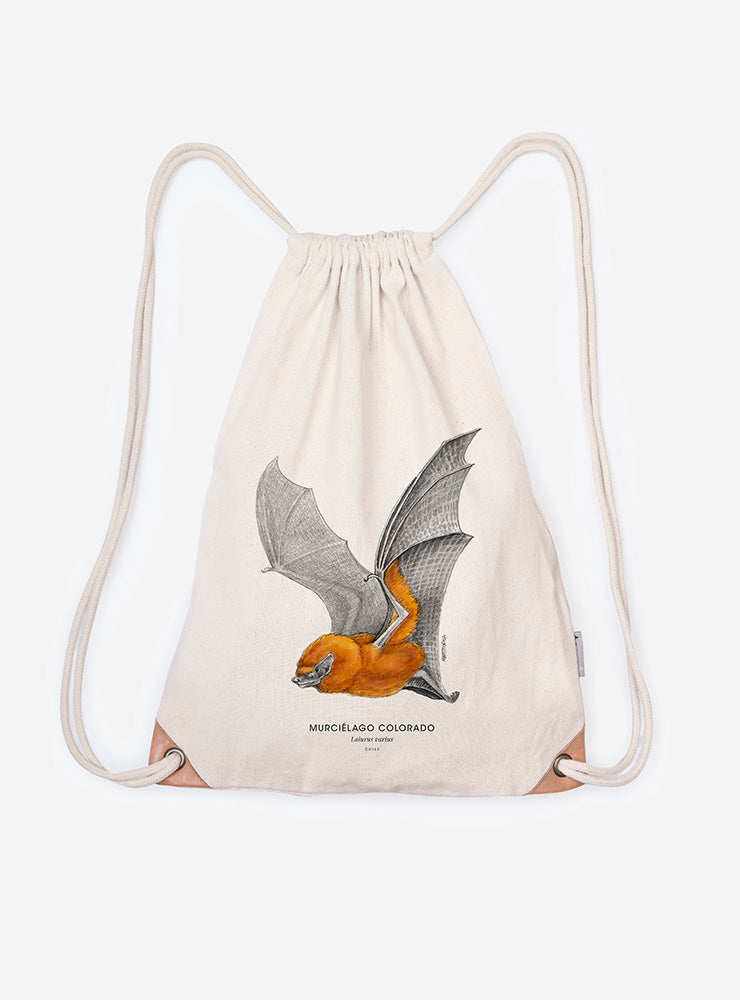 mochila diseño murciélago colorado Chile
mochila escolar fauna flora chilena vuelta a clases
regalo mochila murciélago colorado Chile niño
mochila ilustración murciélago colorado Chile sustentable
mochila vuelta a clases fauna Chile