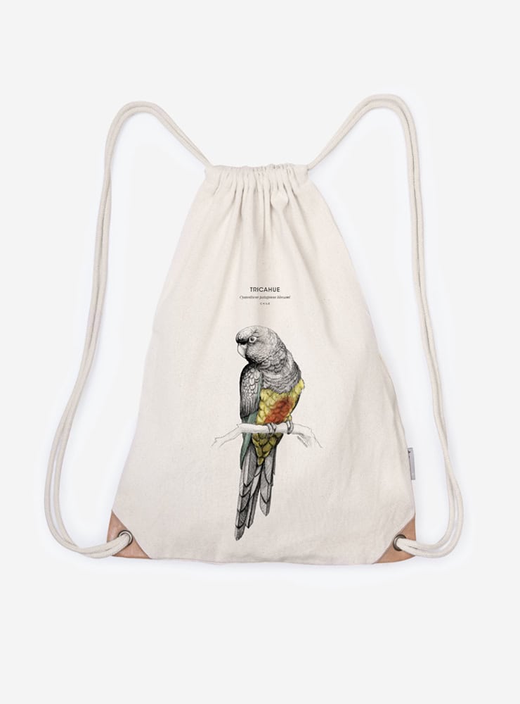 mochila diseño tricahue Chile
mochila escolar fauna flora chilena vuelta a clases
regalo mochila tricahue Chile niño
mochila ilustración tricahue Chile sustentable
mochila vuelta a clases fauna Chile