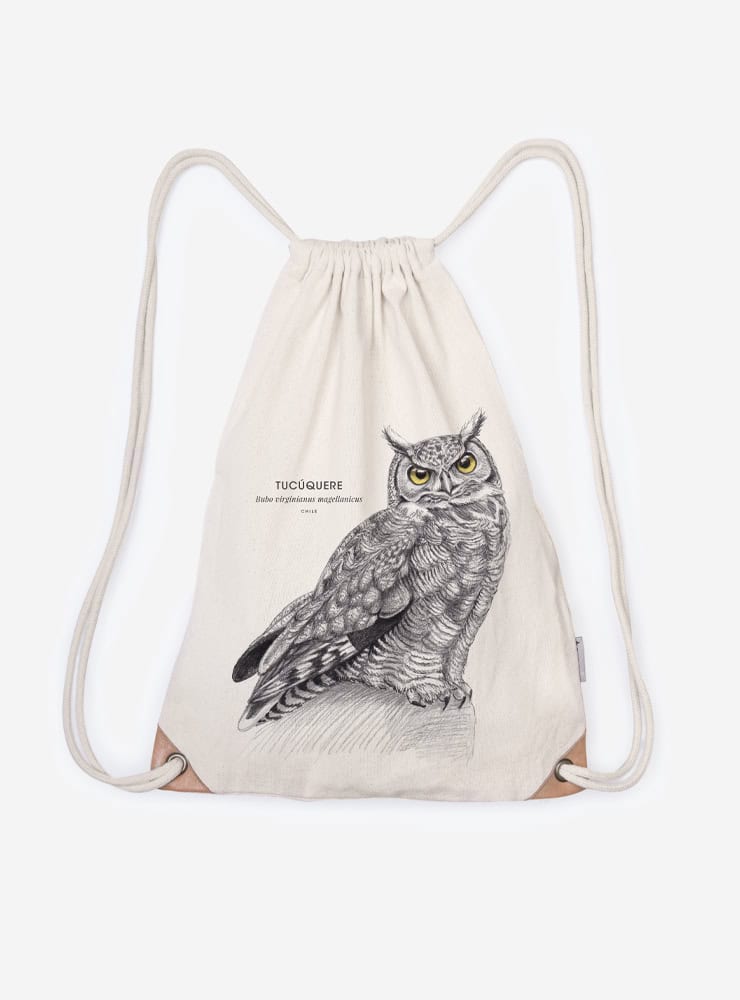 mochila diseño tucúquere Chile
mochila escolar fauna flora chilena vuelta a clases
regalo mochila tucúquere Chile niño
mochila ilustración tucúquere Chile sustentable
mochila vuelta a clases fauna Chile