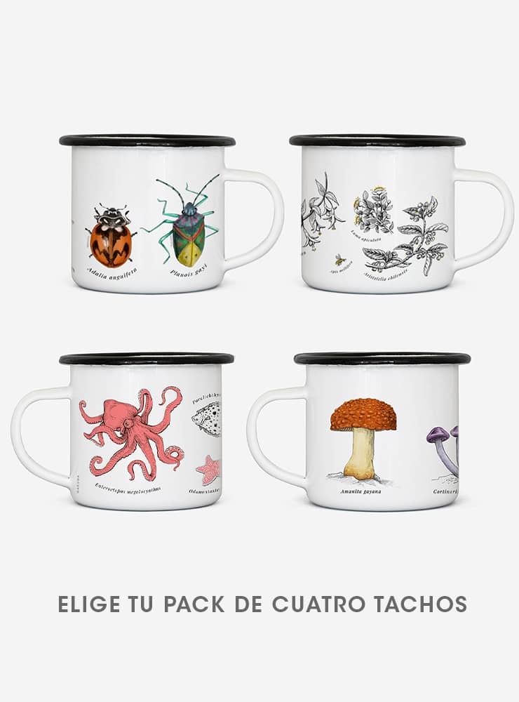 pack tachos enlozados fauna Chile
pack 4 tachos enlozados Chile
regalo pack tachos enlozados fauna chilena
Garuga pack tachos enlozados