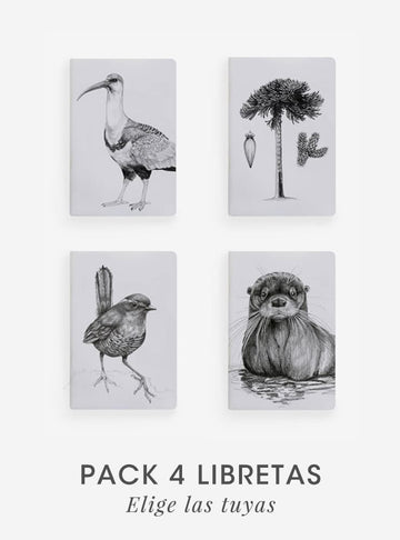 pack 4 libretas diseño fauna flora nativa Chile
pack libretas papelería ilustración fauna chilena
regalo pack libretas fauna Chile
pack 4 libretas 60 páginas fauna Chile
regalo pack papelería fauna flora nativa Chile