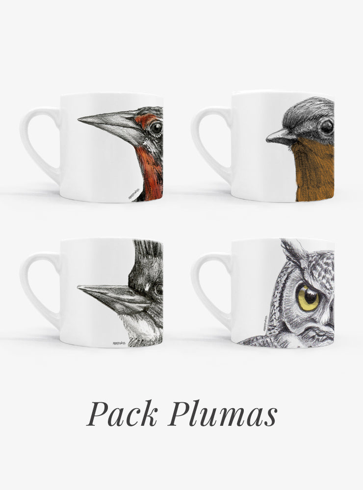 set 4 tazas diseño aves nativas Chile plumas
regalo set tazas chucao loica martín pescador tucúquere Chile
set tazas aves nativas Chile regalo hogar
regalo Navidad set tazas aves plumas Chile
set tazas ilustración aves endémicas sustentable Chile