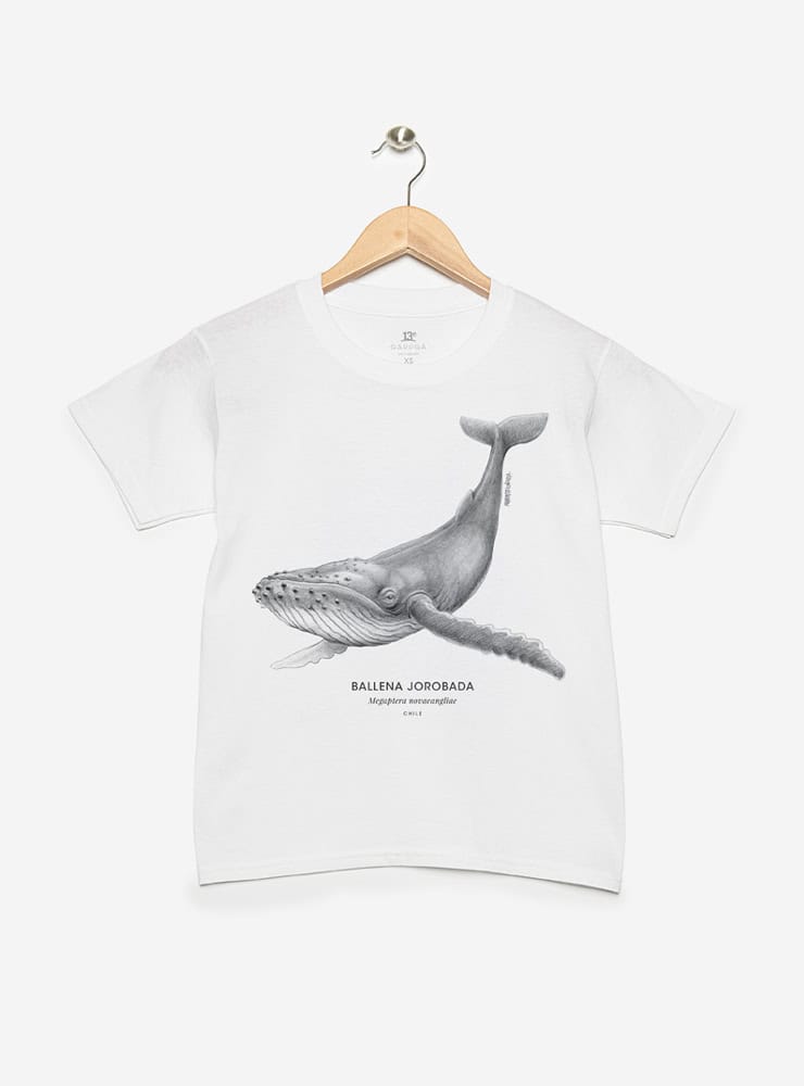 polera infantil manga corta diseño ballena jorobada Chile
ropa niño con cetáceo majestuoso costas Chile
polera algodón niño ballena jorobada Chile
regalo niño conservación ballena jorobada Chile
ropa infantil fauna marina Chile manga corta
