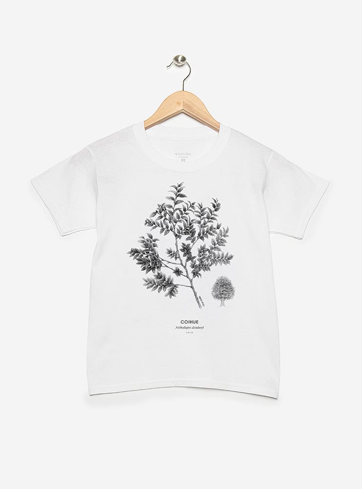 polera infantil manga corta diseño coihue Chile
ropa niño con árbol nativo bosque valdiviano Chile
polera algodón niño coihue bosque sur Chile
regalo niño con coihue árbol nativo Chile
ropa infantil conservación bosque valdiviano Chile