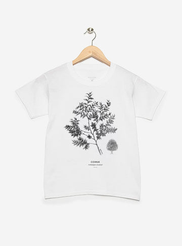 polera infantil manga corta diseño coihue Chile
ropa niño con árbol nativo bosque valdiviano Chile
polera algodón niño coihue bosque sur Chile
regalo niño con coihue árbol nativo Chile
ropa infantil conservación bosque valdiviano Chile
