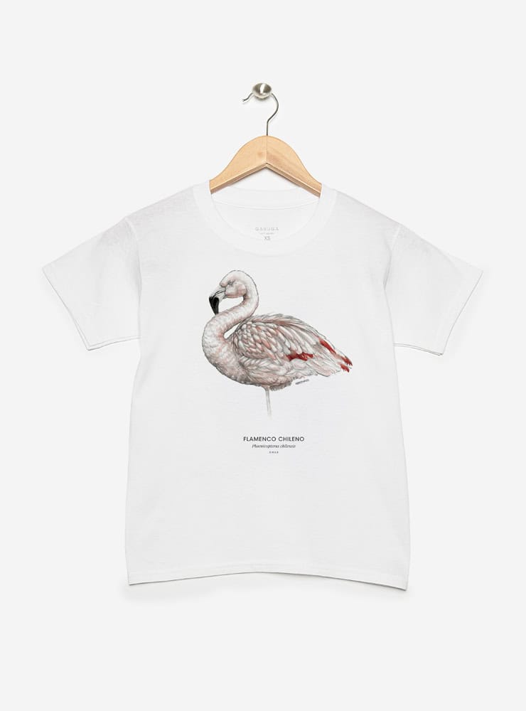 polera infantil manga corta diseño flamenco chileno Chile
ropa niño con ave rosada nativa salares Chile
polera algodón niño flamenco altiplánico Chile
regalo niño con flamenco chileno fauna andina
ropa infantil conservación aves salares Chile