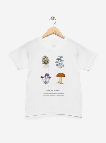 polera infantil manga corta diseño hongos nativos Chile
ropa niño con hongos endémicos bosque chileno
polera algodón niño hongos nativos Chile
regalo niño con hongos nativos bosque sur Chile
ropa infantil fungi endémico Chile manga corta