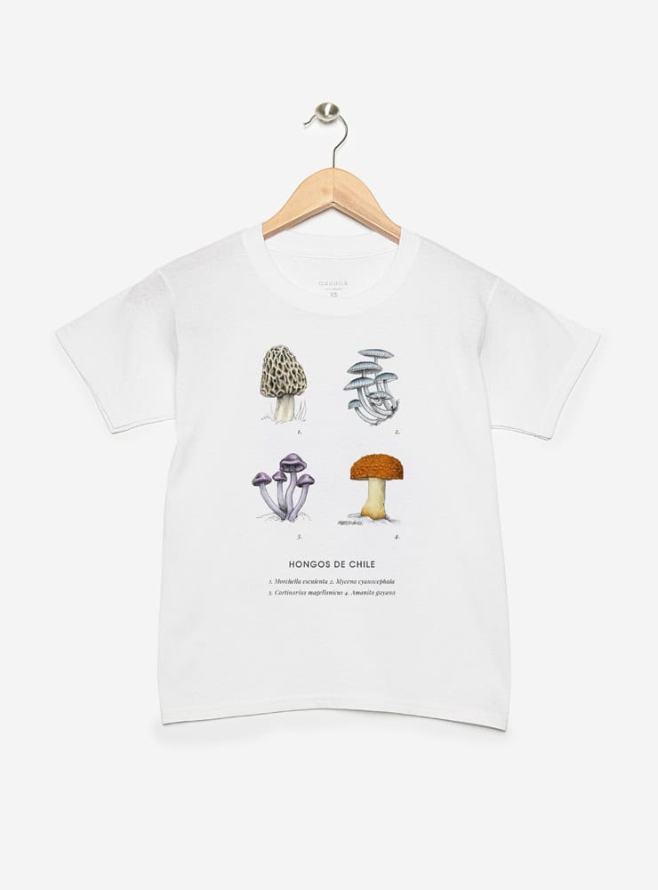 polera infantil manga corta diseño hongos nativos Chile
ropa niño con hongos endémicos bosque chileno
polera algodón niño hongos nativos Chile
regalo niño con hongos nativos bosque sur Chile
ropa infantil fungi endémico Chile manga corta