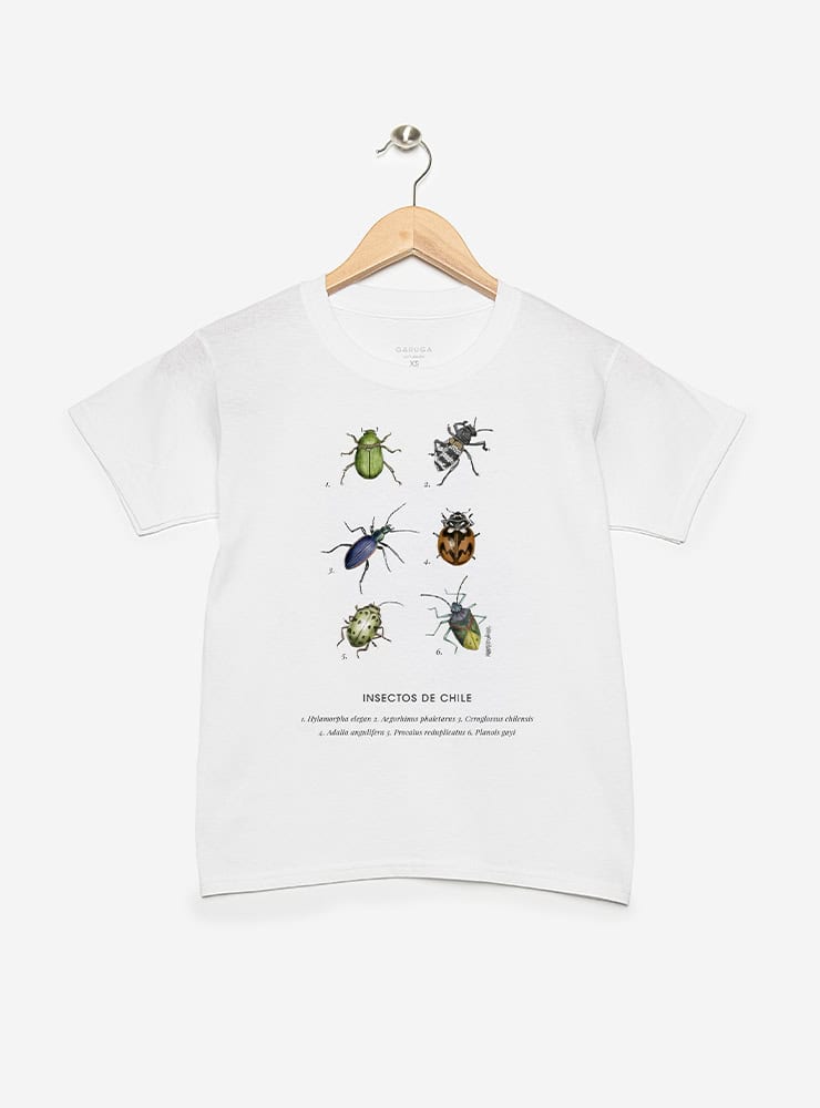 polera infantil manga corta diseño insectos nativos Chile
ropa niño con escarabajos nativos Chile verano
polera algodón niño chinita peorro Chile manga corta
regalo niño con insectos nativos bosque chileno
ropa infantil fauna invertebrada bosque sur Chile