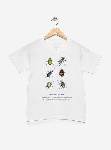 polera infantil manga corta diseño insectos nativos Chile
ropa niño con escarabajos nativos Chile verano
polera algodón niño chinita peorro Chile manga corta
regalo niño con insectos nativos bosque chileno
ropa infantil fauna invertebrada bosque sur Chile