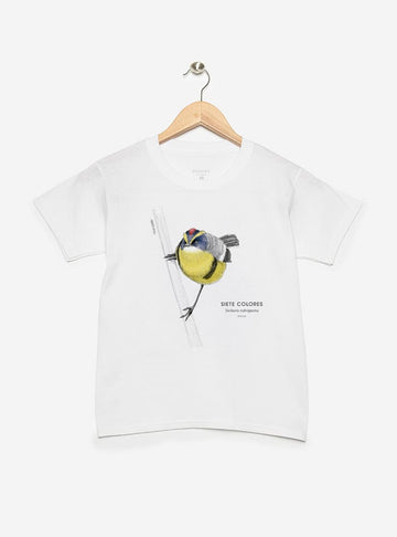 polera infantil manga corta diseño siete colores Chile
ropa niño con ave más colorida humedales Chile
polera algodón niño siete colores humedal Chile
regalo niño conservación siete colores Chile
ropa infantil fauna humedales Chile manga corta