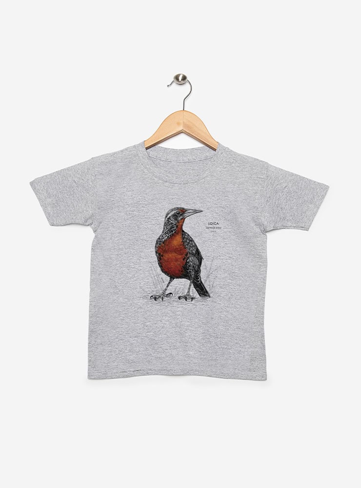 polera infantil manga corta diseño loica Chile
ropa niño con ave nacional Chile pecho rojo
polera algodón niño loica Chile
regalo niño con loica ave nacional Chile
ropa infantil fauna pradera Chile manga corta