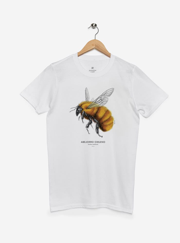 polera manga corta diseño abejorro chileno Chile
ropa con abejorro más grande del mundo Chile
polera algodón unisex polinizador nativo Chile
regalo conservación abejorro chileno en peligro
ropa polinizadores nativos Chile manga corta
