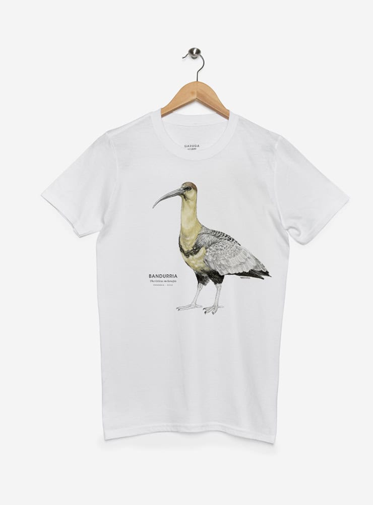 polera manga corta diseño bandurria Chile
ropa con ave icónica campos chilenos manga corta
polera algodón unisex bandurria Chile
regalo con bandurria ave nativa Chile
ropa fauna campos Chile manga corta