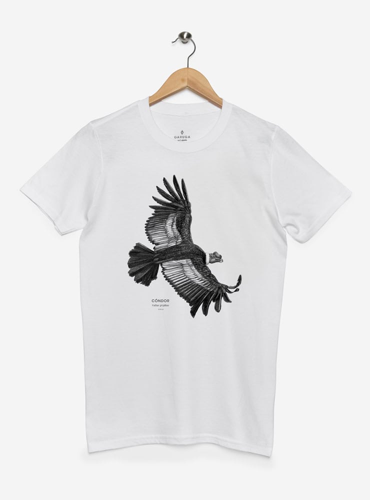 polera manga corta diseño cóndor volando Chile
ropa con ave voladora más grande del mundo en vuelo
polera algodón unisex cóndor andino en vuelo Chile
regalo con cóndor volando símbolo nacional Chile
ropa conservación cóndor Chile manga corta