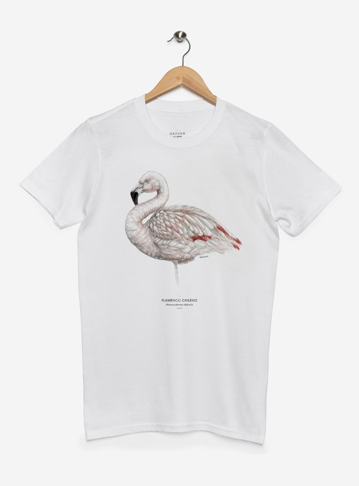 polera manga corta diseño flamenco chileno Chile
ropa con ave rosada nativa salares Chile
polera algodón unisex flamenco altiplánico Chile
regalo con flamenco chileno fauna andina
ropa conservación aves salares Chile