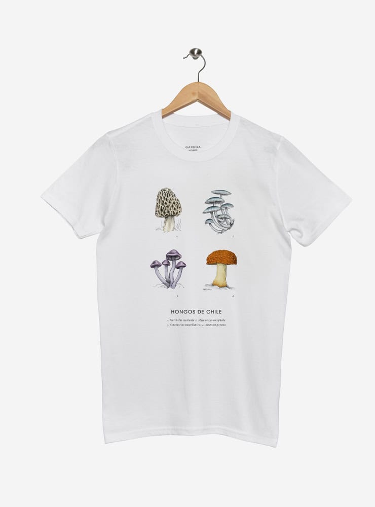 polera manga corta diseño hongos nativos Chile
ropa con hongos endémicos bosque chileno
polera algodón unisex hongos nativos Chile
regalo con hongos nativos bosque sur Chile
ropa fungi endémico Chile manga corta