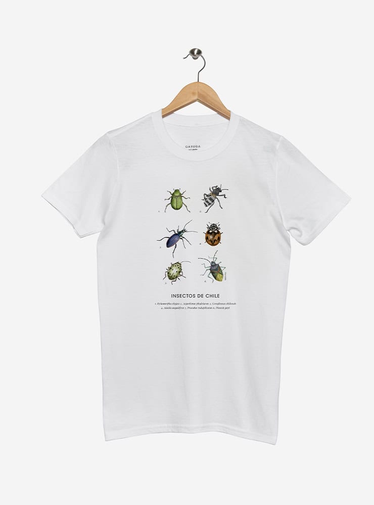 polera manga corta diseño insectos nativos bosque Chile
ropa con escarabajos nativos Chile verano
polera algodón unisex chinita peorro Chile manga corta
regalo con insectos nativos bosque chileno
ropa fauna invertebrada bosque sur Chile verano