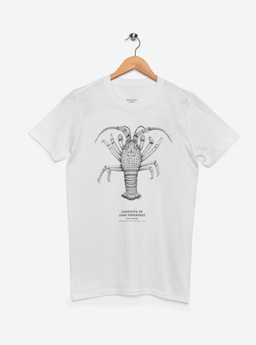 polera manga corta diseño langosta Juan Fernández Chile
ropa con fauna marina Isla Juan Fernández Chile
polera algodón unisex langosta Juan Fernández
regalo con langosta Juan Fernández Chile
ropa fauna marina archipiélago Chile manga corta