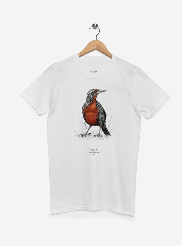 polera manga corta diseño loica Chile
ropa con ave nacional Chile pecho rojo manga corta
polera algodón unisex loica Chile
regalo con loica ave nacional Chile
ropa fauna pradera Chile manga corta