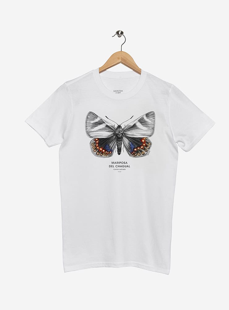 polera manga corta diseño mariposa del chagual Chile
ropa con insecto endémico Chile manga corta
polera algodón unisex mariposa chagual Chile
regalo conservación mariposa del chagual Chile
ropa fauna insectos endémicos Chile manga corta